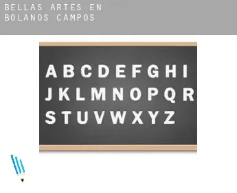 Bellas artes en  Bolaños de Campos