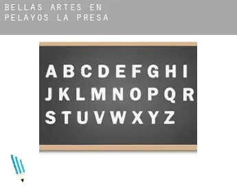 Bellas artes en  Pelayos de la Presa