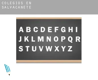 Colegios en  Salvacañete