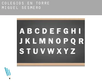 Colegios en  Torre de Miguel Sesmero