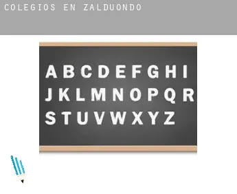 Colegios en  Zalduondo