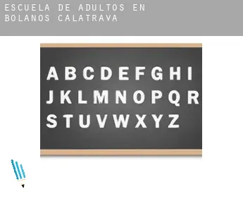 Escuela de adultos en  Bolaños de Calatrava