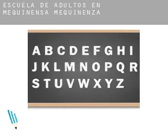 Escuela de adultos en  Mequinensa / Mequinenza