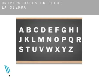 Universidades en Elche de la Sierra