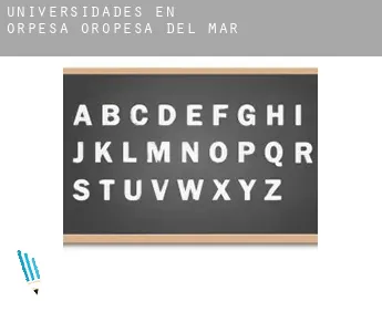 Universidades en  Orpesa/Oropesa del Mar