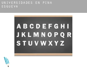 Universidades en  Piña de Esgueva