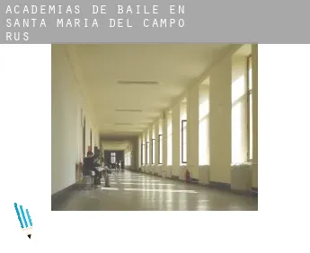Academias de baile en  Santa María del Campo Rus