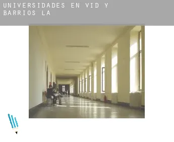Universidades en  Vid y Barrios (La)