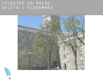 Colegios en  Palau-solità i Plegamans