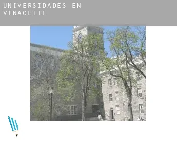 Universidades en Vinaceite