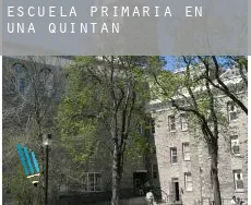 Escuela primaria en   Uña de Quintana