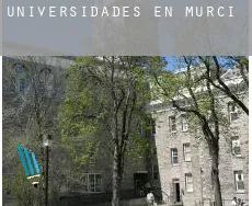Universidades en Murcia