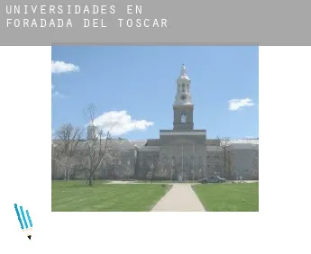 Universidades en  Foradada del Toscar