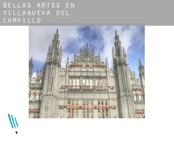 Bellas artes en  Villanueva del Campillo