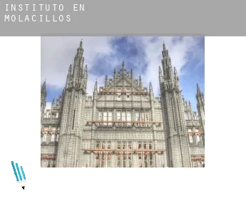Instituto en  Molacillos