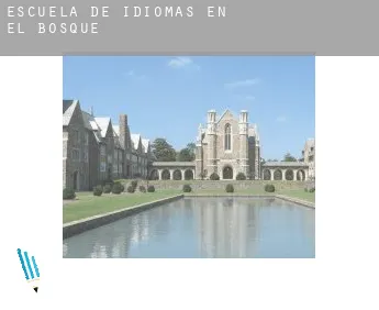 Escuela de idiomas en  El Bosque