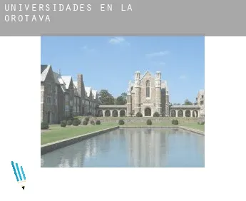 Universidades en  La Orotava