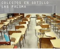 Colegios en  Sotillo de las Palomas