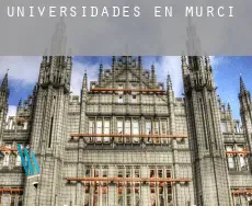 Universidades en Murcia