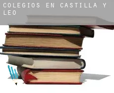 Colegios en  Castilla y León