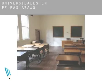 Universidades en  Peleas de Abajo