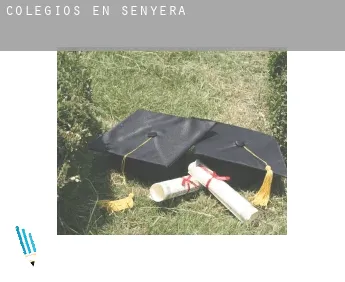 Colegios en  Senyera