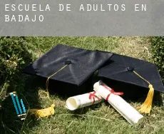 Escuela de adultos en  Badajoz