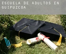 Escuela de adultos en  Guipúzcoa