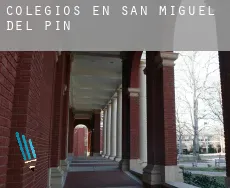 Colegios en  San Miguel del Pino