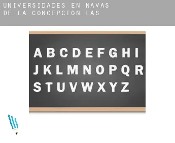 Universidades en  Navas de la Concepción (Las)