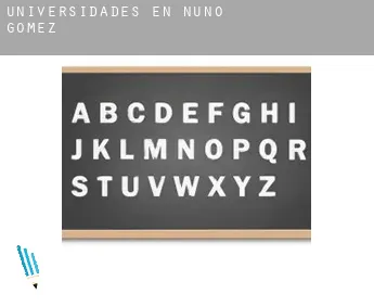 Universidades en  Nuño Gómez