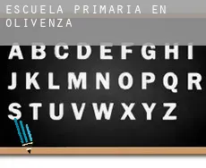 Escuela primaria en   Olivenza