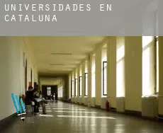 Universidades en  Cataluña