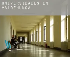 Universidades en  Valdehúncar