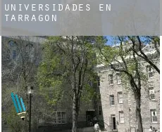 Universidades en  Tarragona