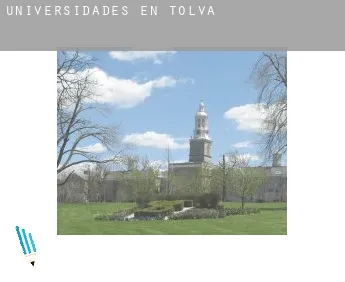 Universidades en Tolva
