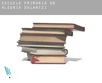 Escuela primaria en   Dulantzi / Alegría