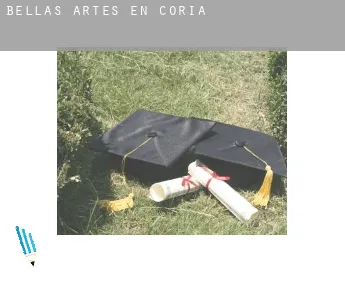 Bellas artes en  Coria