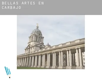 Bellas artes en Carbajo