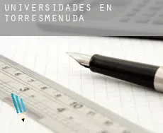 Universidades en Torresmenudas