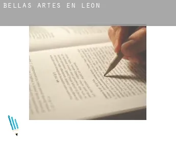 Bellas artes en  León