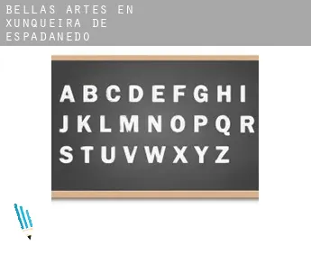 Bellas artes en  Xunqueira de Espadanedo