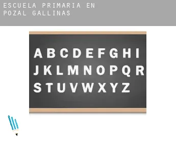 Escuela primaria en   Pozal de Gallinas