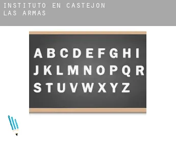 Instituto en  Castejón de las Armas