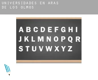 Universidades en  Aras de los Olmos
