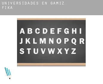 Universidades en  Gamiz-Fika