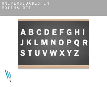 Universidades en  Molins de Rei
