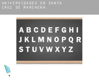 Universidades en Santa Cruz de Marchena