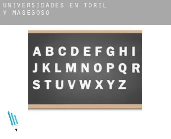 Universidades en  Toril y Masegoso