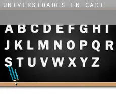 Universidades en Cádiz